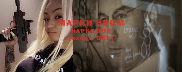 молекула духа Бородино