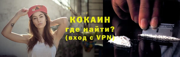 молекула духа Бородино