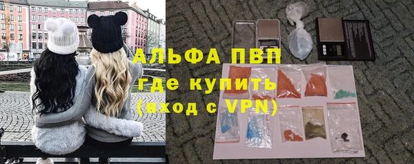 молекула духа Бородино