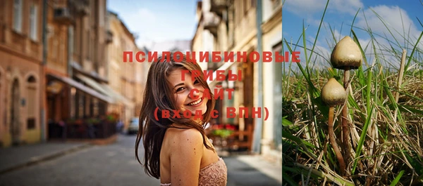 скорость Бронницы