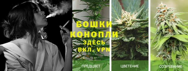 молекула духа Бородино