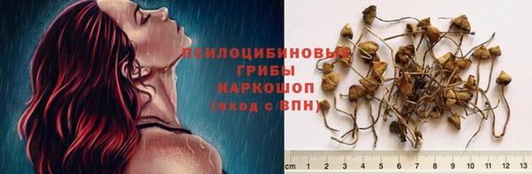 скорость Бронницы