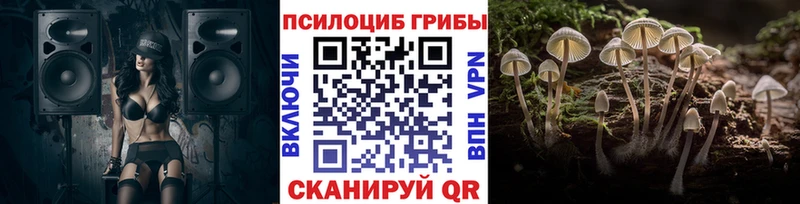 Галлюциногенные грибы Magic Shrooms  Новоульяновск 